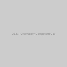 Image of DB3.1 Chemically Competent Cell